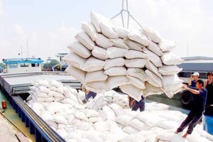 Rice export price hits three year high