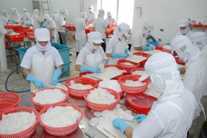 A shrimp processing plant in the Mekong Delta of Vietnam (Photo: SGGP)