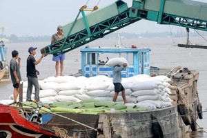 Rice bags transported aboard in the Hau river in the Mekong Delta (Photo: SGGP)