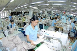 Garment and textile firms have operated stably and developed since early this year (Photo: SGGP)