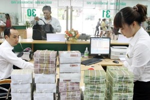 The central bank on Friday held an online conference to prepare for the implementation of the scheme to settle non-performing loans (NPL) and restructure credit institutions in the 2016-20 period. (Photo: vietcombank.com.vn)