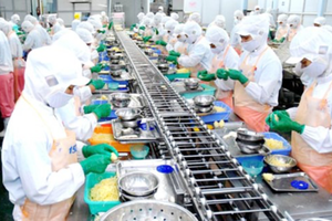 Processing industry draws much attention by foreign investors (Photo: SGGP)