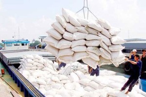 Rice bags transported aboard for export (Photo: SGGP)