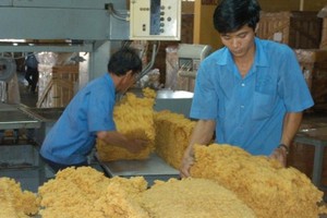 Long Thanh rubber processing plant in Dong Nai province (Photo: SGGP)