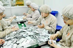 Pharmaceutical chemistry is one of industries which HCMC has given development priority to (Photo: SGGP)