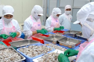 A shrimp processing plant in Hiep Phuoc Industrial Park, HCMC (Photo: SGGP)