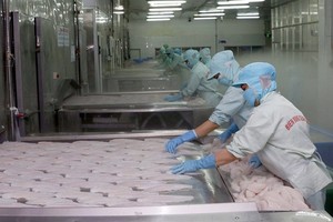 Tra fish being processed by workers at Bien Dong Seafood Co in the southern city of Can Tho. (Photo: VNA/VNS)