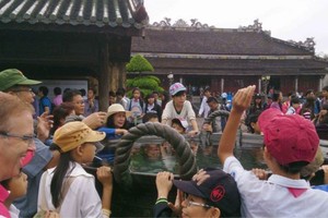 Visitors at Hue Imperial Citadel (Photo: SGGP)