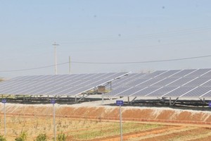Solar panels at a farm in Lam Dong province (Photo: SGGP)