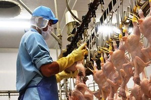 Deputy Minister works with firms to promote poultry export to EU