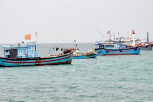 The Directorate of Fisheries is drafting a master plan on offshore fishing development until 2030, which says the funds needed for the sector by 2030 will be $1.87 billion. (Photo: thuyhaisan.net)