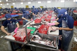 Pangasius, vegetable prices highly hike in Mekong Delta