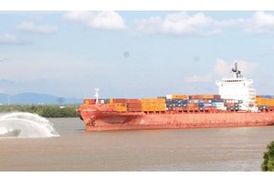 Seagoing vessel travelling to HCMC by waterway (Photo: SGGP)