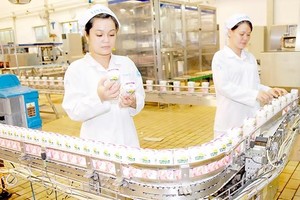 Fruit juice production at a domestic business (Illustrative photo: SGGP)