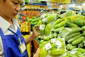 Bitter melon meeting VietGap quality standards are sold in a supermarket (Photo: SGGP)