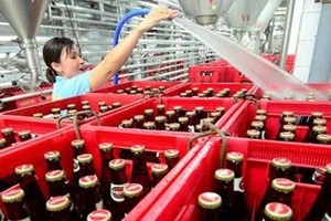 Beer production at Sabeco