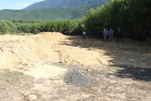 The forestry plantation where the illegal landfill was discovered. (Photo thanh nien.vn)