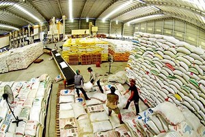 Rice bags stockpiled for export at a warehouse in the Mekong Delta (Photo: SGGP)