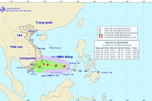 Bolaven storm direction in the East Sea on January 3 (Photo: nchmf)Bolaven storm direction in the East Sea on January 3 (Photo: nchmf)