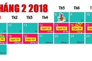 HCMC announces seven day Lunar New Year holiday