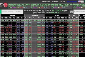 The HCMC Stock Exchange (HOSE) resumes operation after two day shutdown on January 25 