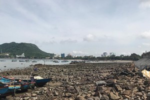 The area is suggested for the project (Photo: SGGP)