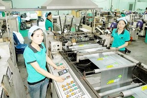 A Vietnamese plastic company (Photo: SGGP)