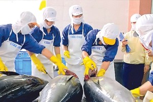 Seafood import enterprises call for help