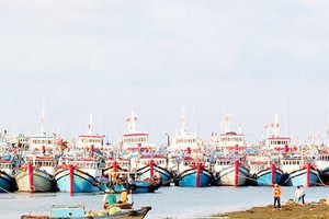 Construction of new seaport in Mekong Delta needs US$4.1 billion