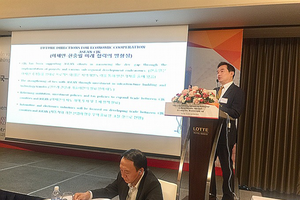 Heo Yoon, a professor from Sogang University Graduate School of International Studies and President of the Korean Association of Trade and Industry Studies, addresses the seminar on November 16. (Photo: VNA)