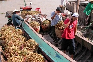 Vegetable and fruit exports were expected to post a growth of 10 percent this year (Photo: vneconomy.vn)