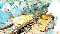 Seafood export breaks record with $9 billion