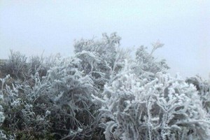 Bitter cold visits Nothern Vietnam