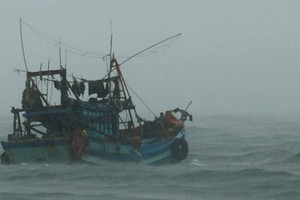 A fishing boat moving to shelter in Ca Mau province (Photo: SGGP)
