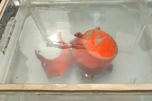 Cockpit voice recorder from Lion Air jet JT610 found (Source: BBC)