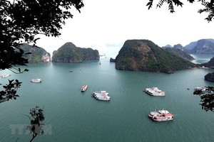 Ha Long Bay in Vietnam's northern province of Quang Ninh (Photo: VNA)