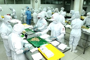 Processed food production at CJ Cau Tre Company. (Photo: SGGP)