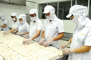 A Food processing industry has many advantages in export to India (Photo: SGGP)