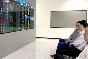 Since the beginning of February this year, the VN-Index has rallied more than 80 points compared to January 2019. (Photo: SGGP)