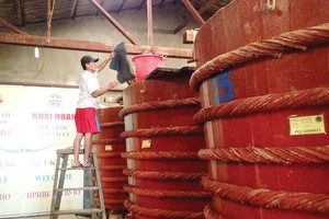 Traditional fish sauce production in Phu Quoc. (Photo: SGGP)