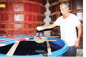 A traditional fish sauce maker checks the quality of fish sauce. (Photo: SGGP)