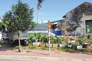A land plot in dispute in Con Dao island (Photo: SGGP)