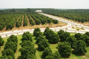 A 120 hectare jackfruit farm of Vinamit Company in Phu Giao district, Binh Duong province (Photo: SGGP)