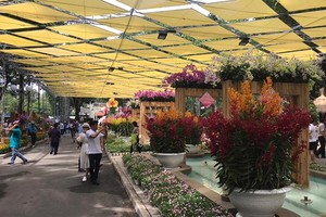 The first Orchid Festival opens in HCMC on April 27 (Photo: SGGP)