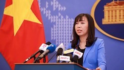 Spokesperson of the Ministry of Foreign Affairs Le Thi Thu Hang