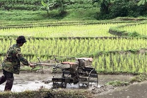 More farmers in Thailand have registered for subsidies and occupation shifting allowance from the government (Source: news.thaivisa.com)