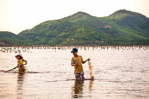 Catching fish with fishing net in Tam Giang lagoon (Photo: SGGP)