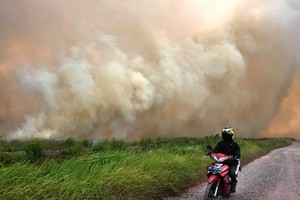 A forest fire in Ogan Ilir regency of South Sumatra province, Indonesia, on August 5 (Photo: Xinhua/VNA)