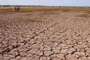 Drought in the Mekong Delta region (Photo: VNA)