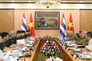 An overview of the dialogue (Photo: VNA)